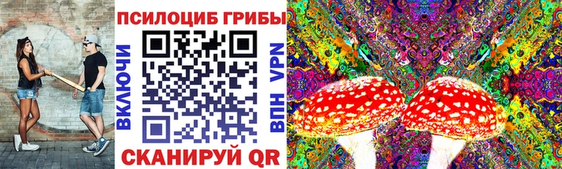 даркнет клад  Зверево  Галлюциногенные грибы Psilocybe 